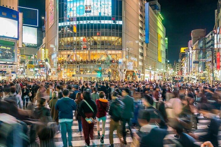 Tokyo Private Day Trip with English Speaking Driver