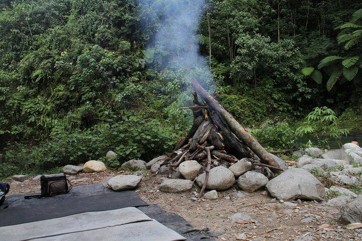2 day Sumatra Orangutan Jungle Trek Tour Medan - Bukit Lawang