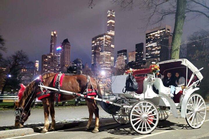 Official Private NYC CentralPark Horse Carriage Ride Since 1972