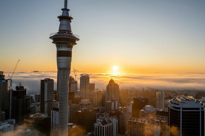 Auckland Museum and Highlight Sightseeing Tour