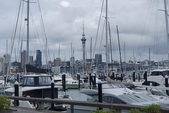 Auckland Highlights Full Day Guided Tour