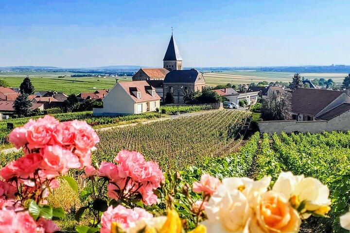 Private Full Day Tour with 2 Boutique Grower Champagne Houses