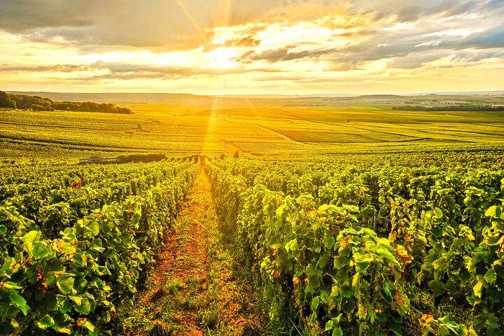 Moet et Chandon Tasting and Fun Private Tour in Champagne