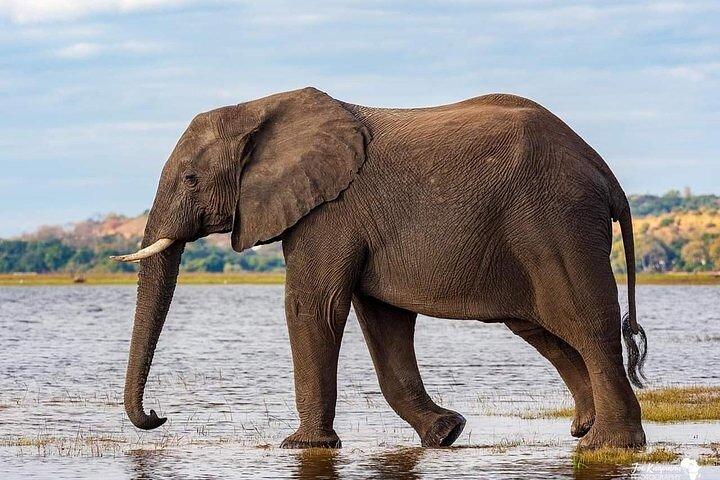 3 Day Serengeti and Ngorongoro Tour