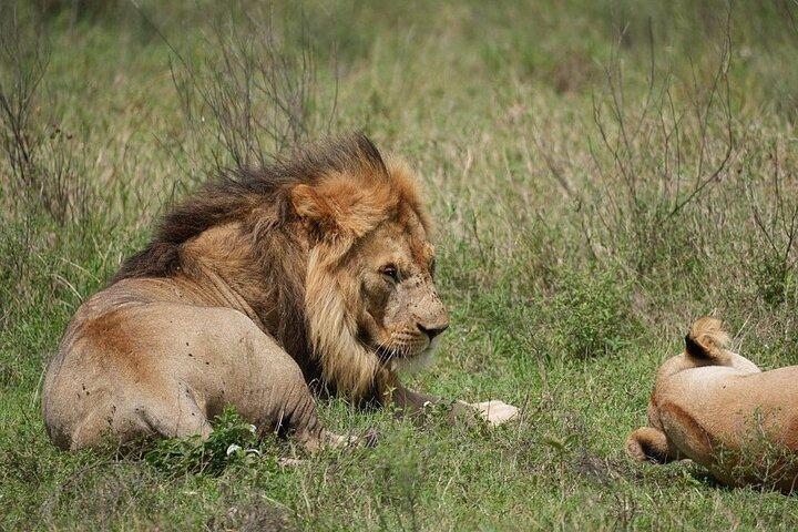 3 Day Serengeti and Ngorongoro Tour