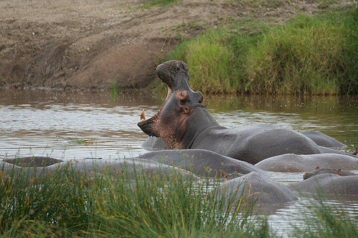 3 Day Serengeti and Ngorongoro Tour