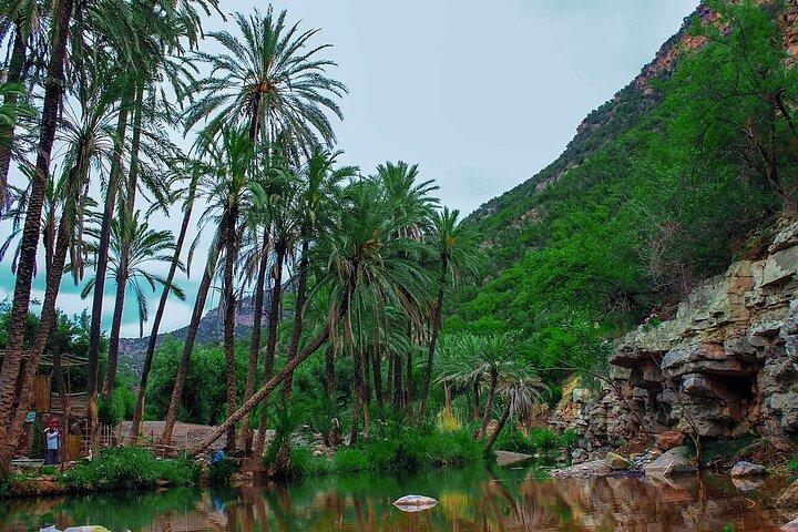 Paradise Valley Tour from Agadir​ and Taghazout