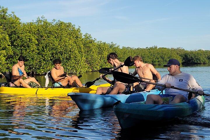 Kayak through Mangrove Forests in the Florida Keys