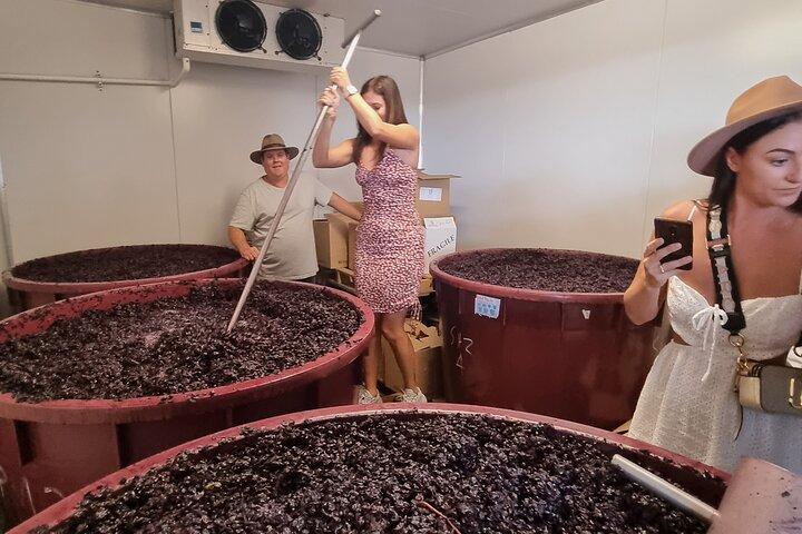 Sydney Grains and Grapes Hunter Valley Wine and Beer with Lunch