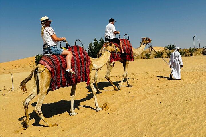 Abu Dhabi: Private Camel Trekking Experience