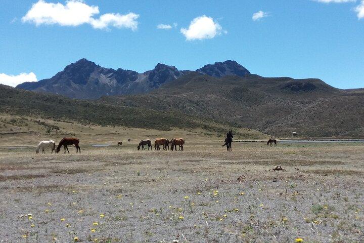 Cotopaxi Volcano and Quilotoa Lagoon Full Day Tour