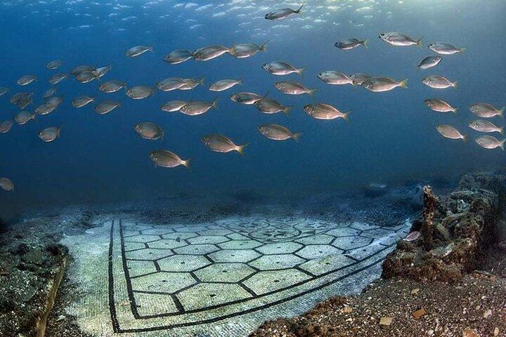 Diving at the Baia Submerged Park for certified divers