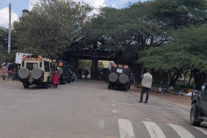 Overnight Maasai Mara Safari Tour from Nairobi