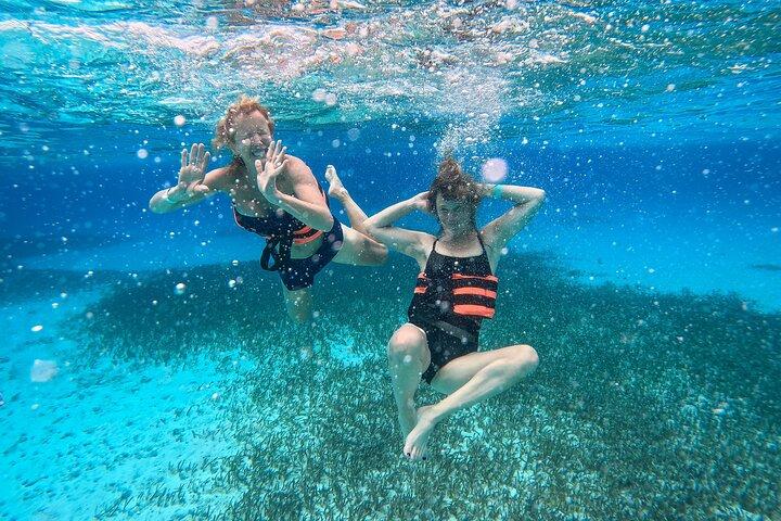 Cancun: Private Catamaran with Open Bar & Snorkeling Option