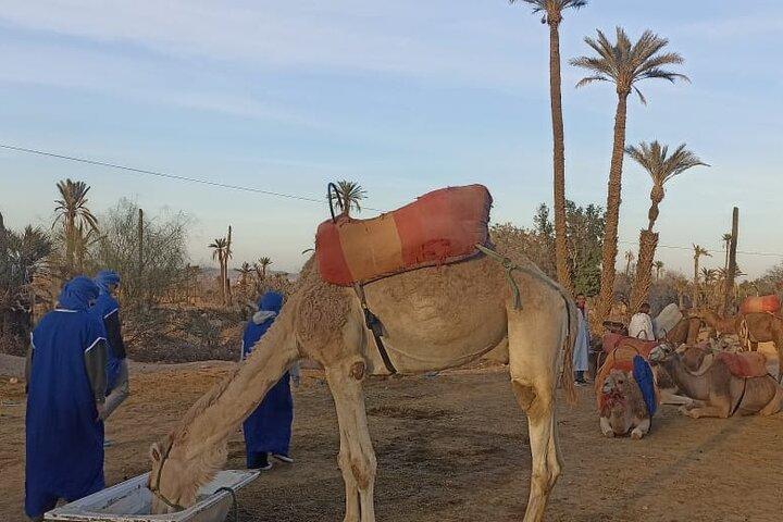 One Day trip From Casablanca to Marrakech