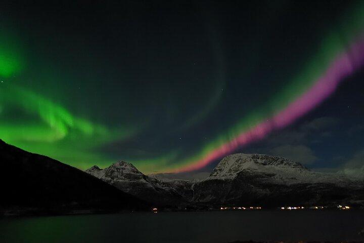Northern Lights Tour, Tromso, Local Guide, Private Basecamp