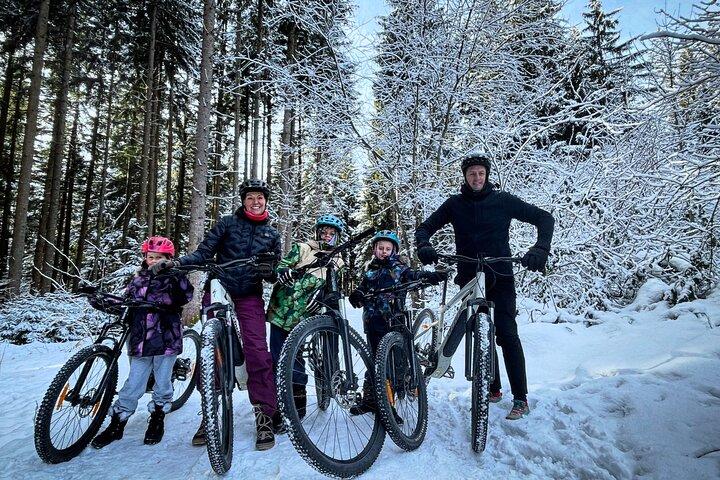 Scenic Innsbruck City and Mountain eBike Tour
