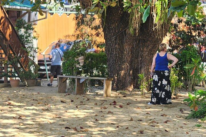 Half Day Tobago Tours with Transfers