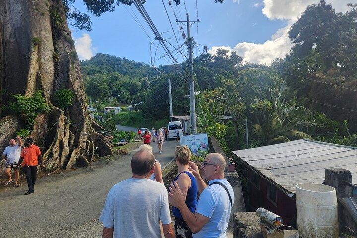 Half Day Tobago Tours with Transfers