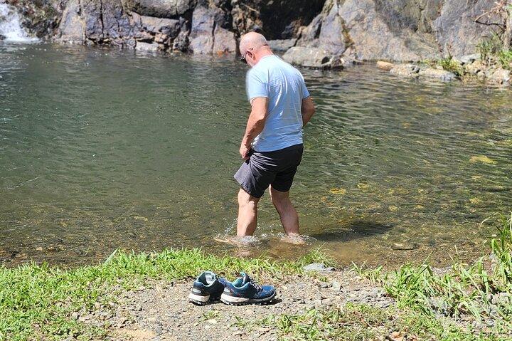 Half Day Tobago Tours with Transfers