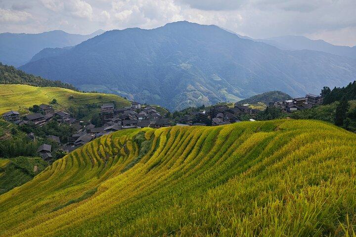 Longji Dazhai Rice Terraces Day Tour with Cable Car