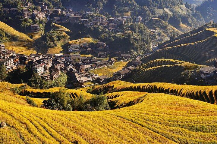 Longji Dazhai Rice Terraces Day Tour with Cable Car