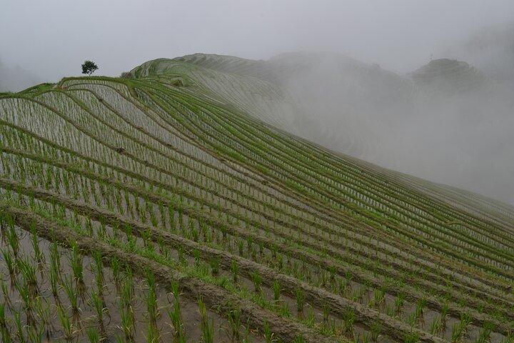Longji Dazhai Rice Terraces Day Tour with Cable Car