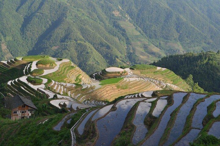 Longji Dazhai Rice Terraces Day Tour with Cable Car