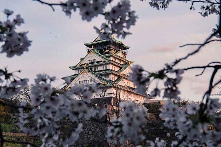 Osaka City Cherry Blossom Private Sightseeing Tour