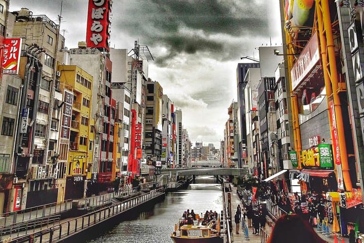 Osaka Private Customizable Sightseeing Tour with Chauffeur