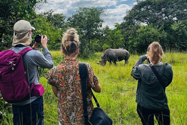 Day Tour Of Ziwa Rhino Sanctuary and Wildlife Ranch - ZIWA RHINO TREKKING