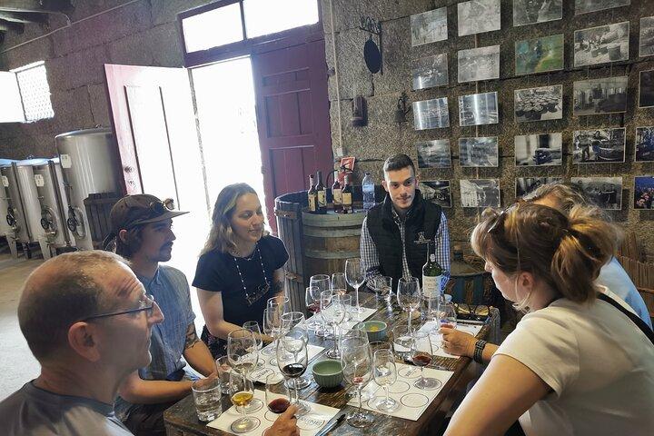 Douro & Vinho Verde: Family Wineries Private Tour in Portugal