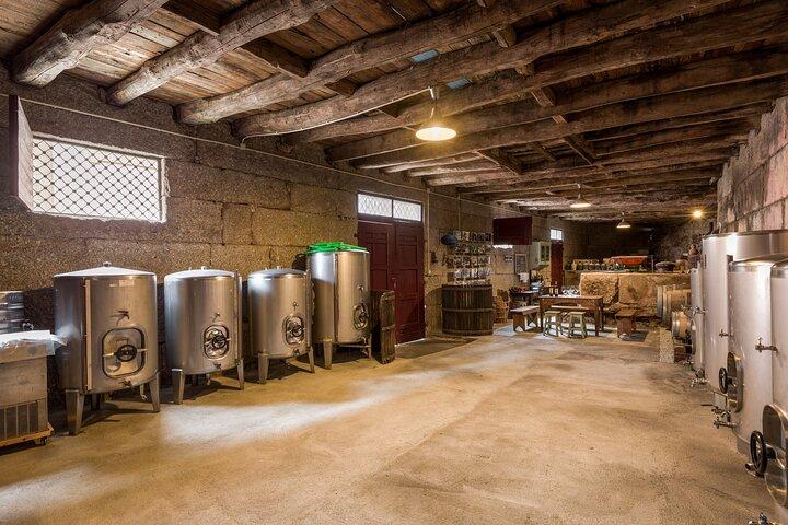 Douro & Vinho Verde: Family Wineries Private Tour in Portugal