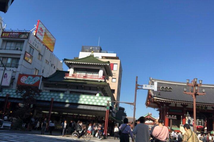 Tokyo Half Walking Day Tour with a Local Expert Guide