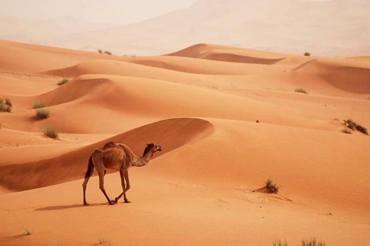 Sunrise Desert Safari Dubai