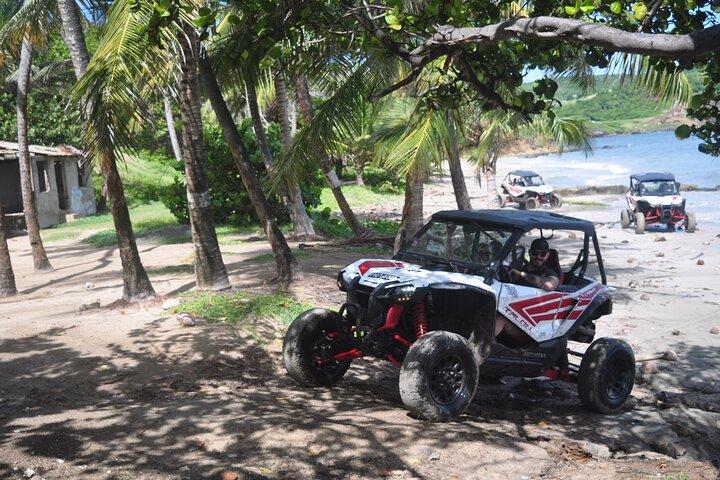 Northern Sights - Buggy in the North