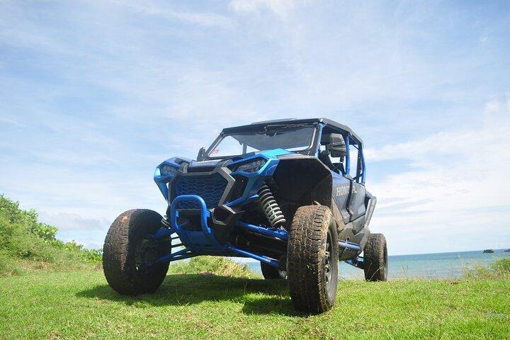 Northern Sights - Buggy in the North