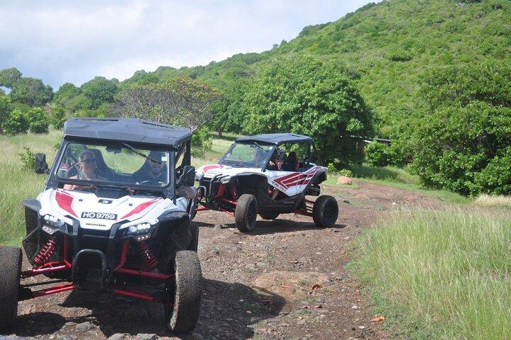 Northern Sights - Buggy in the North