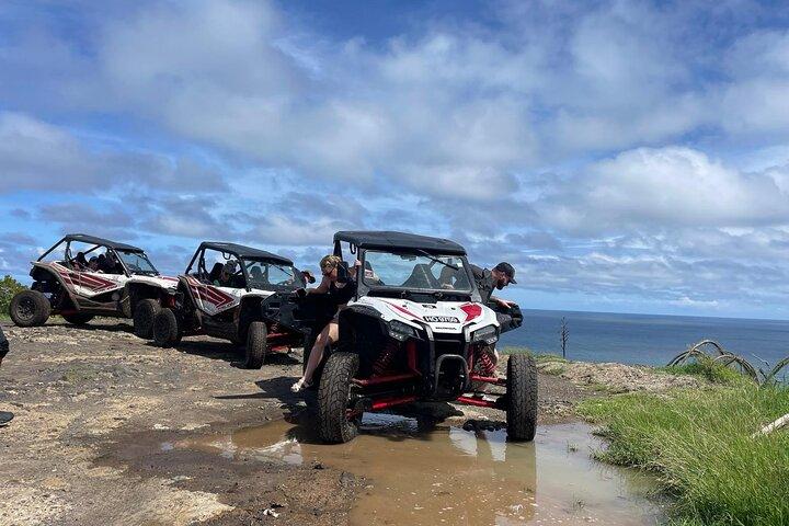 Northern Sights - Buggy in the North