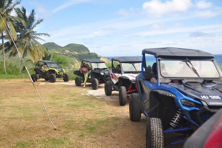 Drive and Fly - Buggy and Zipline
