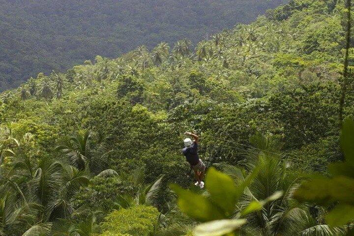 Drive and Fly - Buggy and Zipline