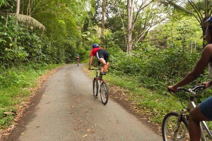 Rainforest Cycling Adventure in St. Lucia