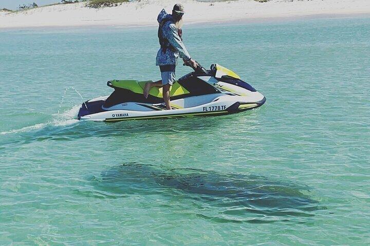2 Hour Shell Island Jet Ski Dolphin Tour