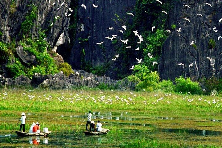 Ninh Binh 2 days Hoa Lu-Tam Coc-Hang Mua-Thung Nham Bird Park