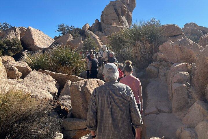 Private Sightseeing Adventure Tour of Joshua Tree National Park
