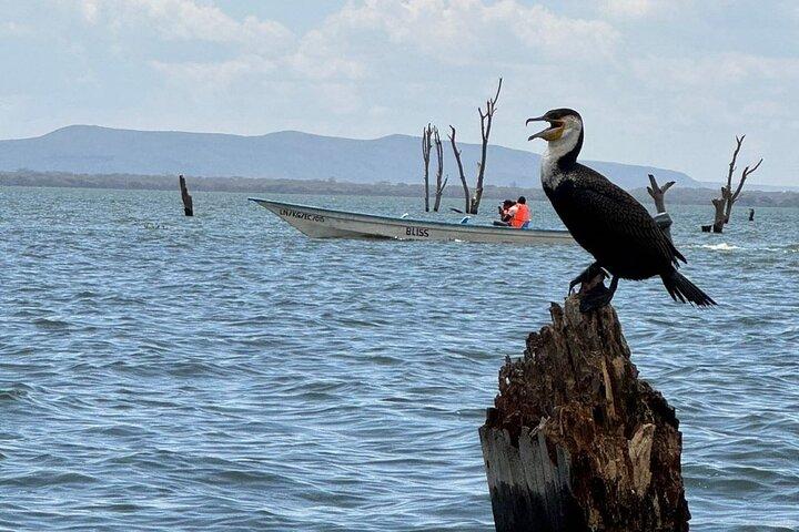 Hell's Gate Park and Lake Naivasha Day Tour