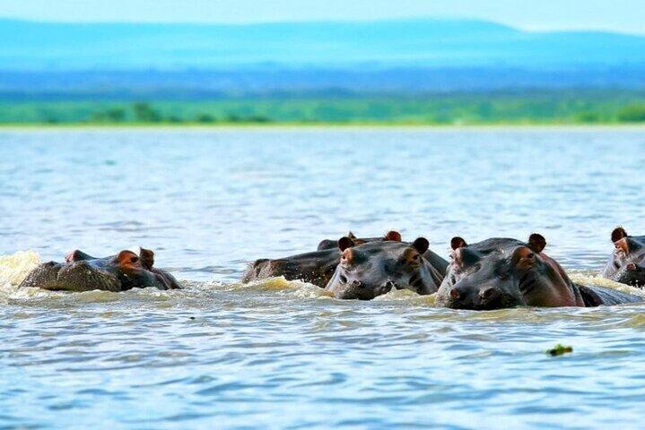 Hell's Gate Park and Lake Naivasha Day Tour