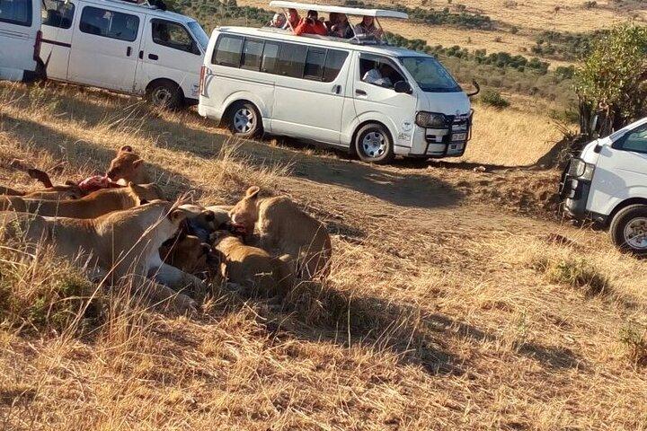 Nairobi National Park Tour