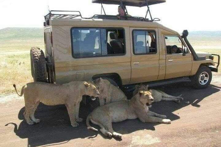 7days Kenya Wildlife Safari on 4x4 Land Cruiser Jeep