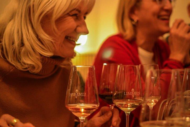 Evening Essential Bratislava Tour & Wine Tasting from Vienna